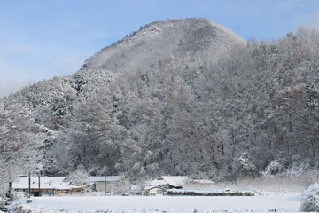 winter landscape in the mountains