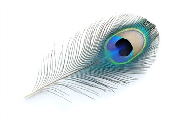 Obraz premium Excellent quality peacock feather isolated on a white backdrop. Generative Ai
