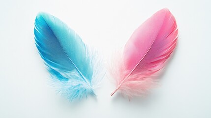 Naklejka premium colorful feathers in blue and pink on a white background