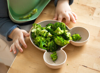 Beautiful baby eating broccoli pieces in his chair