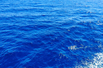 The ocean is calm and blue, with no visible waves