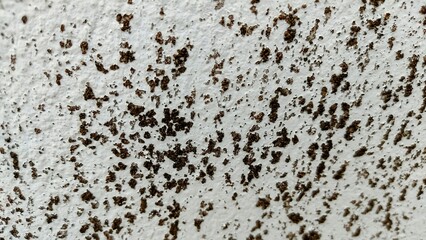 stone wall texture
