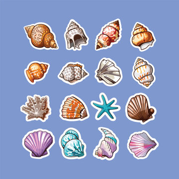 collection of cute sea shell vector stickers