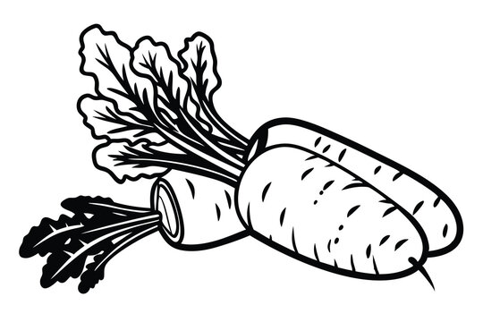 recommend clip art: line art of radish  white background