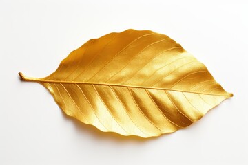 Fototapeta premium golden leaf on a white background for elegant decor