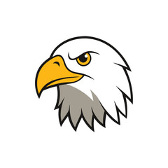 Fototapeta premium bald-eagle--head-vector-illustration