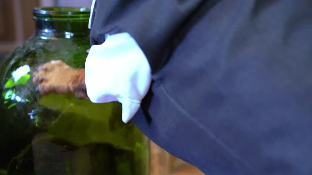 An experienced dog master moves and cleans a large green glass vase for wine or alcoholic beverages.