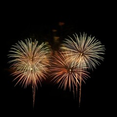 Two vibrant fireworks explode against a dark night sky, showcasing intricate patterns of light and color.