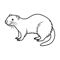 Muskrat vector line art