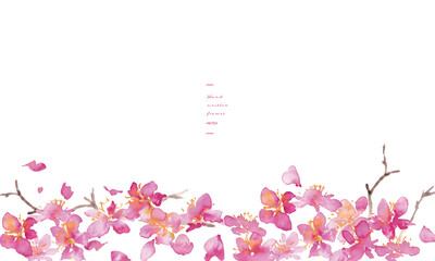 水彩画。水彩タッチの桜のベクター背景。桜の和風背景。梅の花の手書きベクターイラスト。高級感のある和風素材。Watercolor painting. Cherry blossoms vector background with watercolor touch. Cherry blossoms Japanese style background. Hand drawn vector illustra