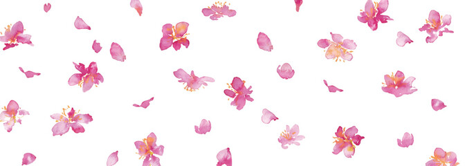 水彩画。水彩タッチの桜のベクター背景。桜の和風背景。梅の花の手書きベクターイラスト。高級感のある和風素材。Watercolor painting. Cherry blossoms vector background with watercolor touch. Cherry blossoms Japanese style background. Hand drawn vector illustra