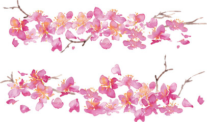 水彩画。水彩タッチの桜のベクター背景。桜の和風背景。梅の花の手書きベクターイラスト。高級感のある和風素材。Watercolor painting. Cherry blossoms vector background with watercolor touch. Cherry blossoms Japanese style background. Hand drawn vector illustra