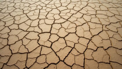  Texture of cracked earth closeup