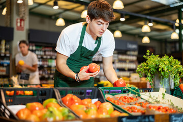 Skilled young seller arranging organic ripe red tomatoes on vegetable counter at local farm store..