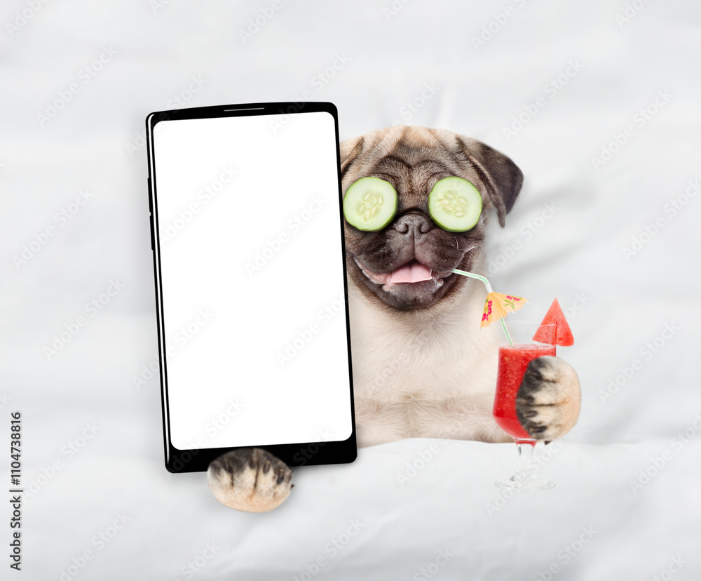 Aufkleber Happy Pug puppy with a pieces of cucumber on it eyes relaxing on the bed at home drinking  cocktail and showing big smartphone with white screen in it paw. Top down view. Empty space for text