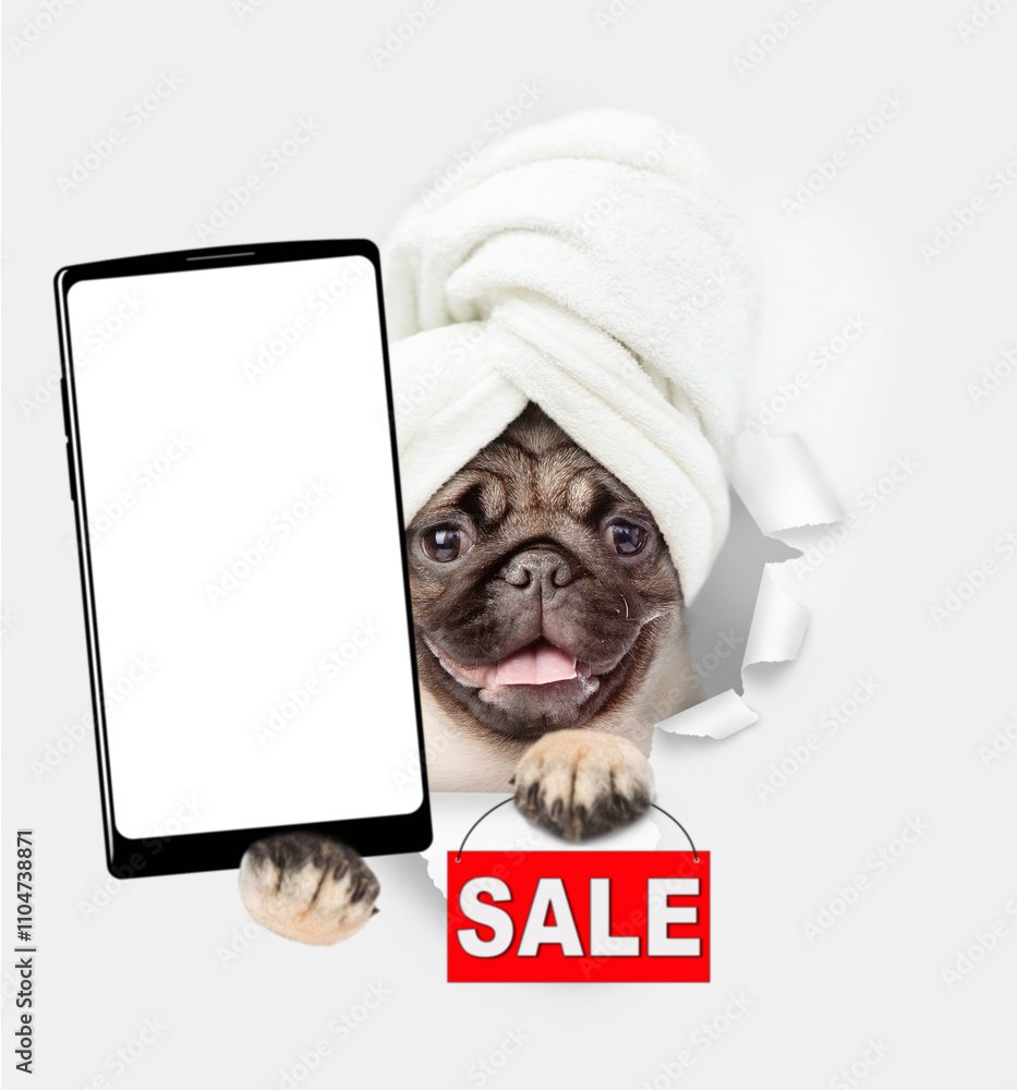 Poster cute pug puppy with towel on it head holding big smartphone with white blank screen in it paw, looki