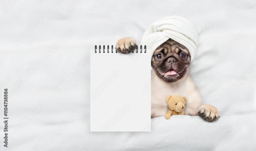 Fototapete Funny Pug puppy with pieces of cucumber on it eyes relaxing on the bed at home and showing empty list. Top down view. Empty space for text