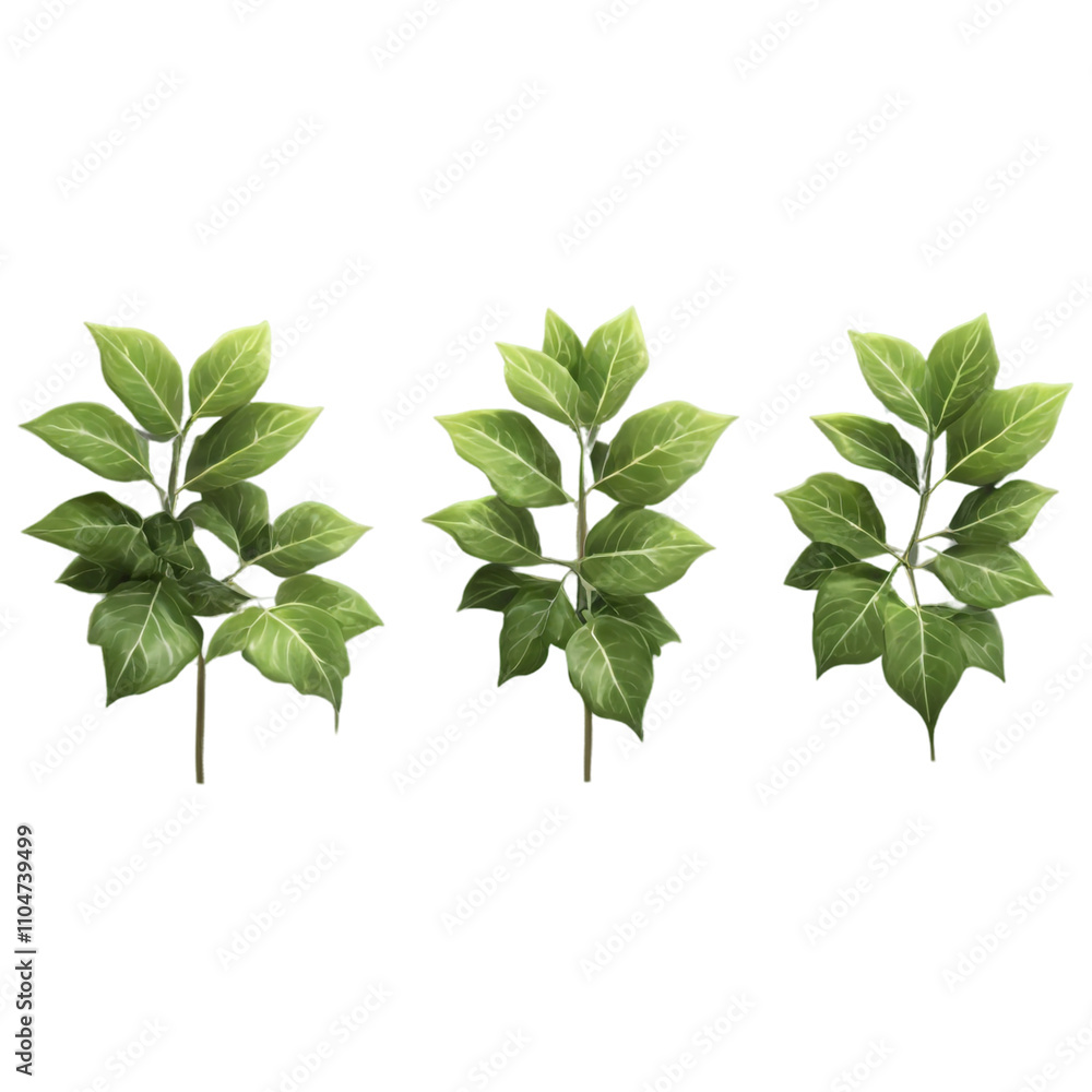 Poster green leaves arranged in a simple line highlighting natural design and texture variations