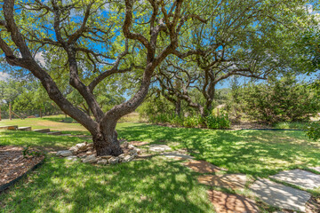 Majestic oak trees casting shadows over a serene garden retreat