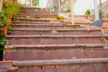 Charming, Worn Brick Stairs Beautifully Surrounded by Lush Greenery in a Scenic Landscape