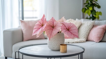 Caladium Plant in Pot on Table in Modern Living Room Setting
