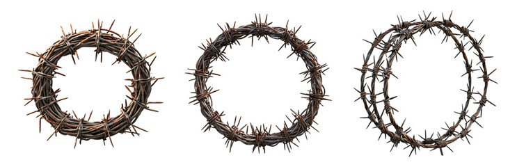 Fototapeta premium Rustic wreaths made of twigs and branches Isolated on transparent background png