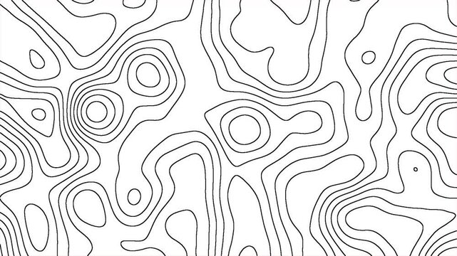 abstract animation topography line pattern dynamic waves motion white background footage video 