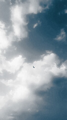 Solitary Flight Amidst the Clouds