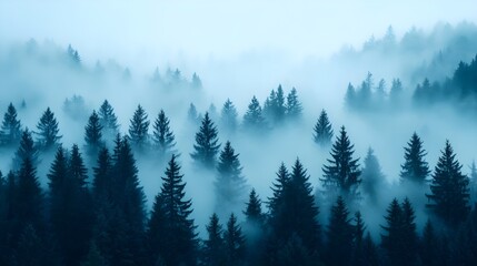 Misty Forest Pines, Blue Landscape