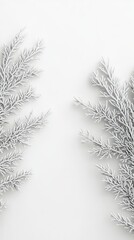 Winter Branches Frame