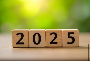 2025 new year wooden dice