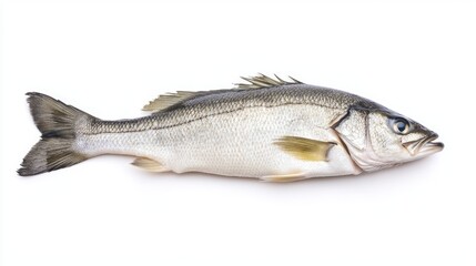 Obraz premium Ultra-Detailed Texture Study of Whole Sea Bass with Fresh Herbs and Lemon - Culinary Delight Close-Up