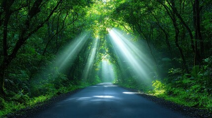 Obraz premium Sunbeams Through Lush Forest Road Serene Nature Landscape