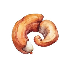 Watercolor Cashew isolated white background