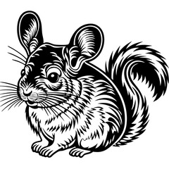 chinchilla vector silhouette, isolated white background
