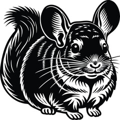 chinchilla vector silhouette, isolated white background
