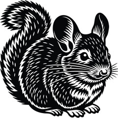 chinchilla vector silhouette, isolated white background
