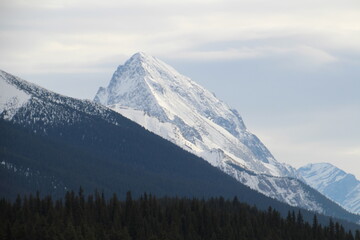 Fototapeta premium snow covered mountains in winter