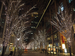 Tokyo new year holiday illumination, Naka-Dori street with decorated trees and garland lights