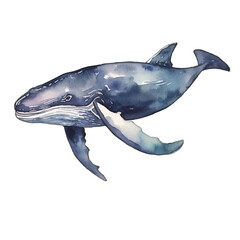 watercolor Whale isolated white background