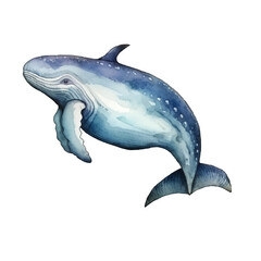 Fototapeta premium watercolor Whale isolated white background