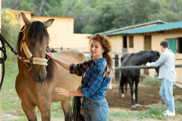 Caring woman grooming thoroughbred horse, brushing fur of horse standing calmly