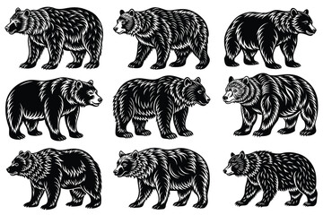 Bear Silhouette Bundle Set, Animal Bear Silhouette, Different Poses Bear Silhouette