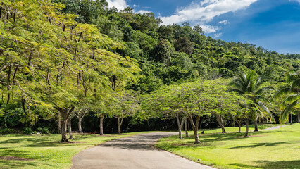 The path winds through a tropical park. Green grass on the lawn, deciduous, palm trees. A hill with lush vegetation against a blue sky, clouds. Malaysia. Borneo. Kota Kinabalu