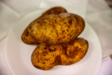 Three Russet Potatoes