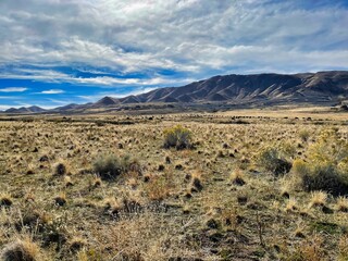October on Antelope Island on the Great Salt Lake Utah.