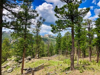 Summer View of Mount Rushmore National Memorial in South Dakota.