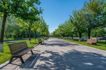 Fototapeta premium A wide park sidewalk flanked by benches, lush greenery, and trees, with modern landscape design