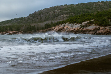 coastal maine on foggy day acadia national park waves crashing on the beach pine forests on the atlantic ocean rocky coastal shores