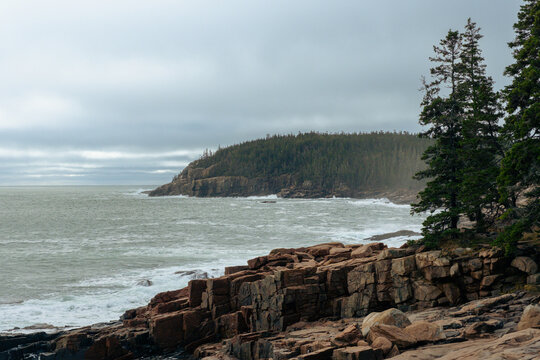 coastal maine on foggy day acadia national park waves crashing on the beach pine forests on the atlantic ocean rocky coastal shores - Powered by Adobe